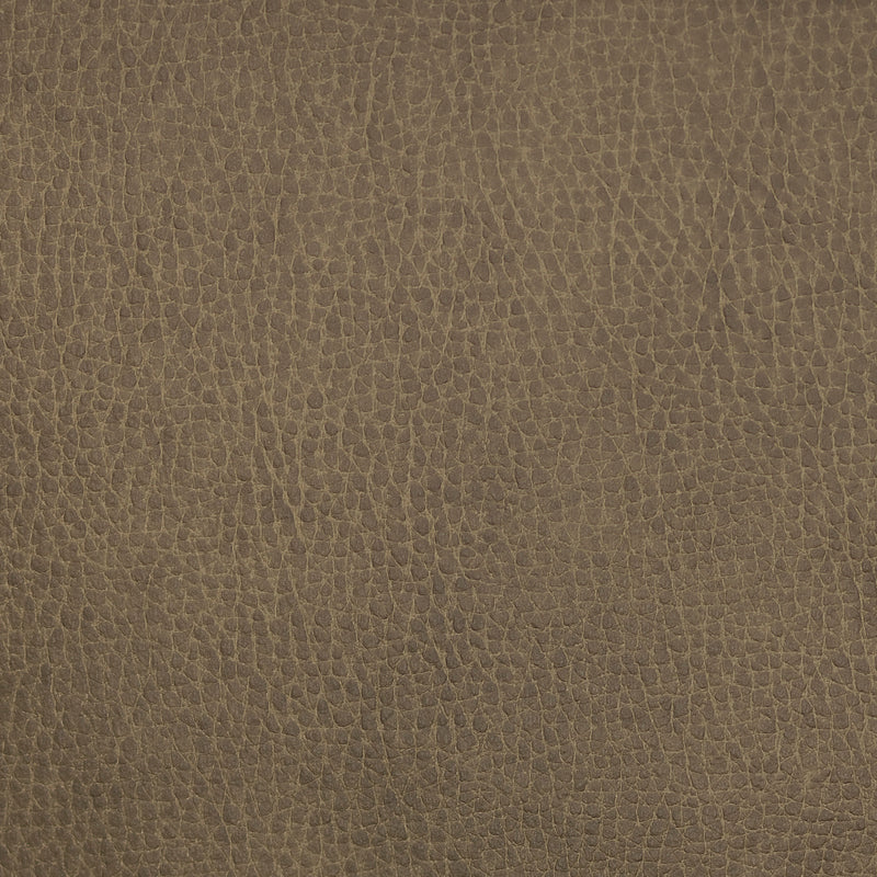 Swatch - Mushroom (SW-1037)