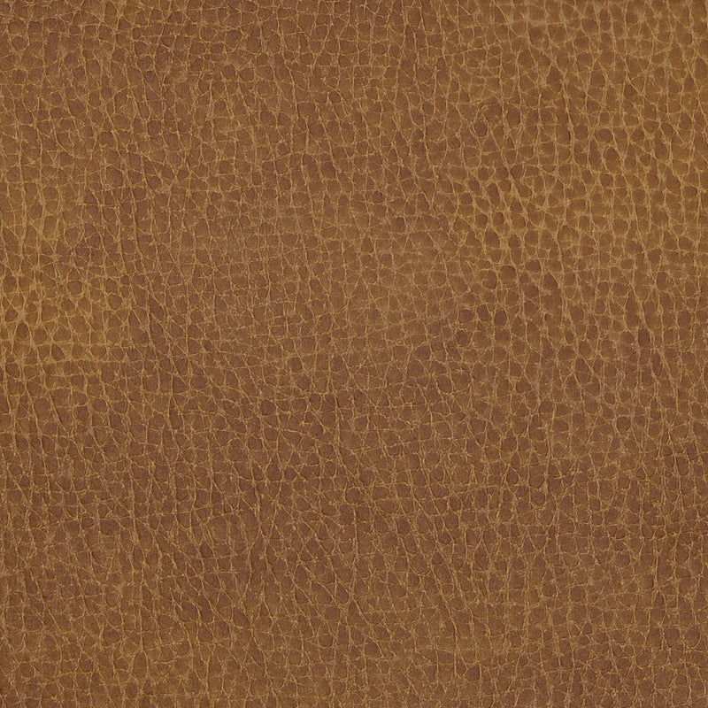 Swatch - Canyon (SW-1034)