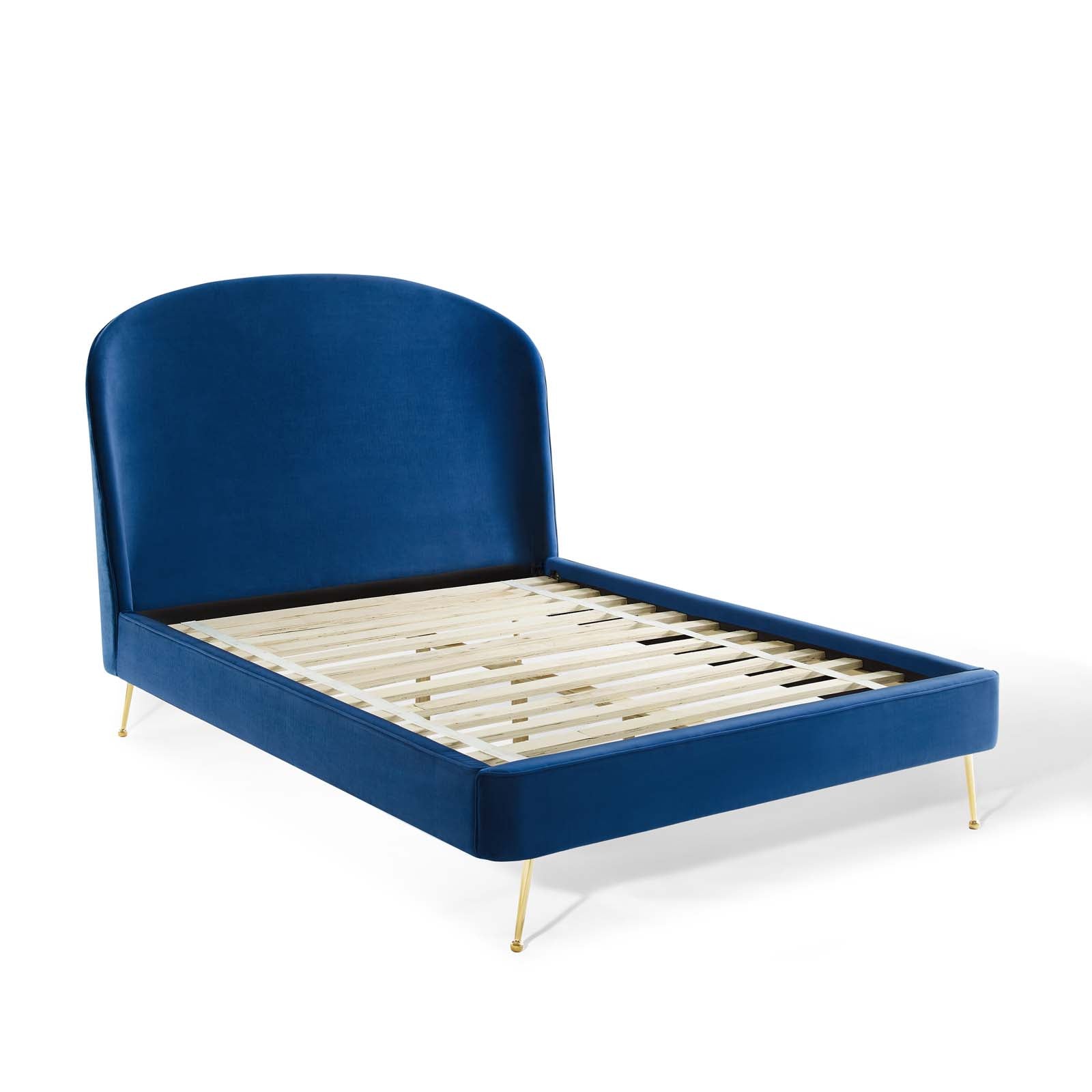 Navy / Queen