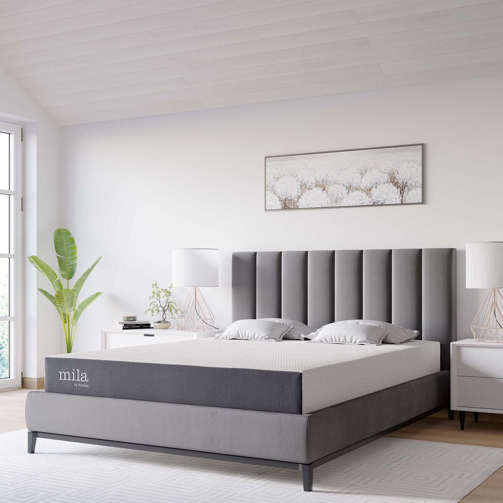 Queen / 8"