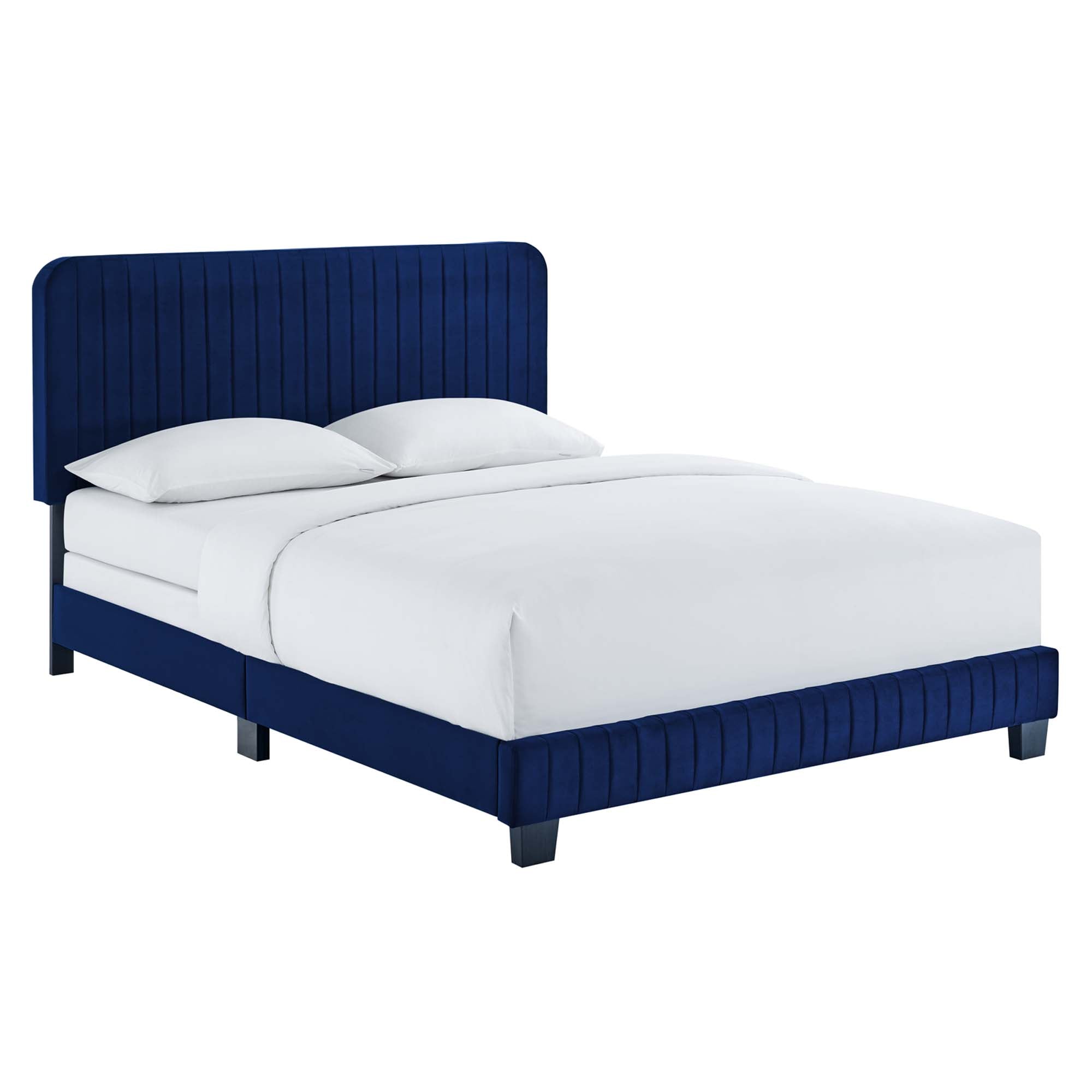 Navy / Queen