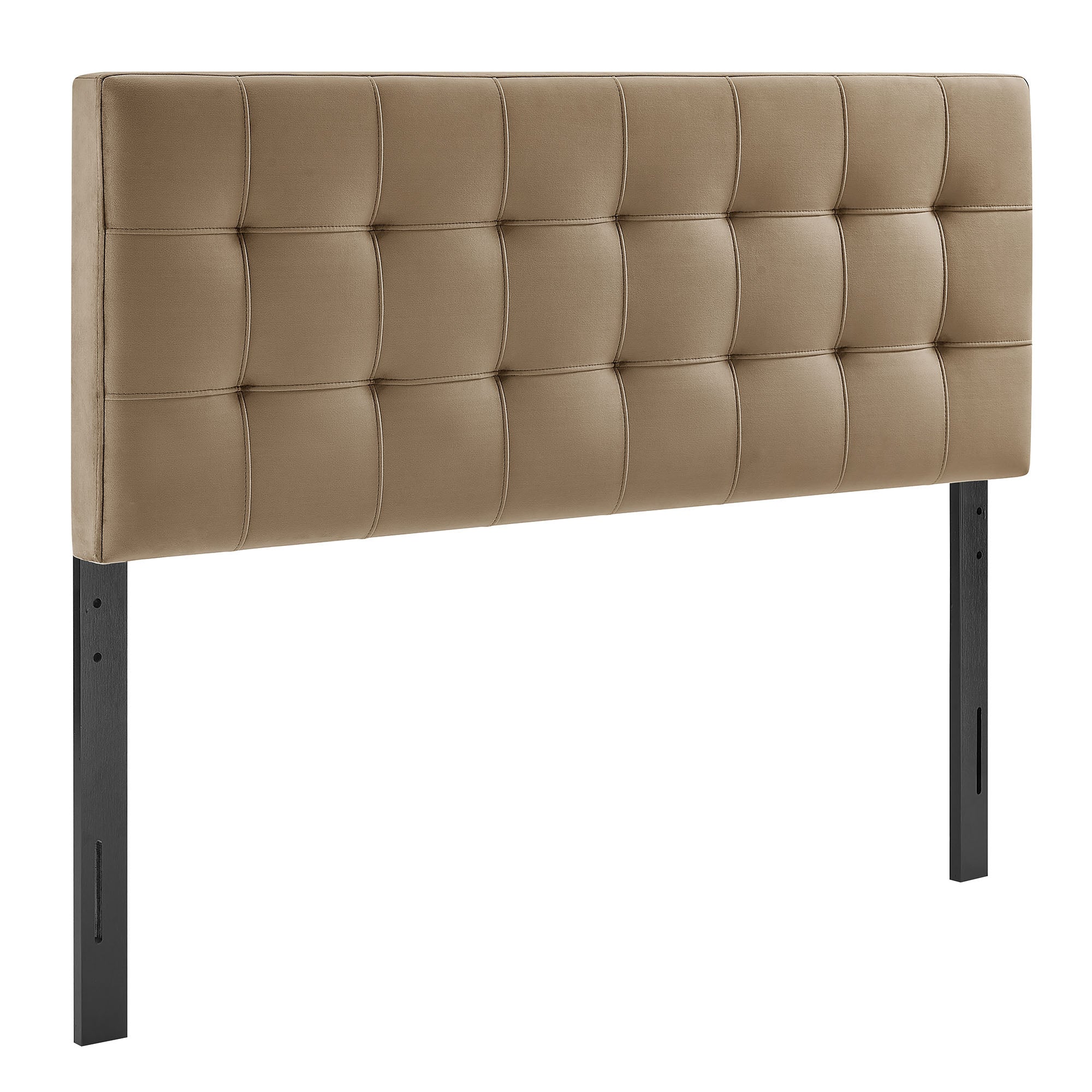 Taupe / Queen