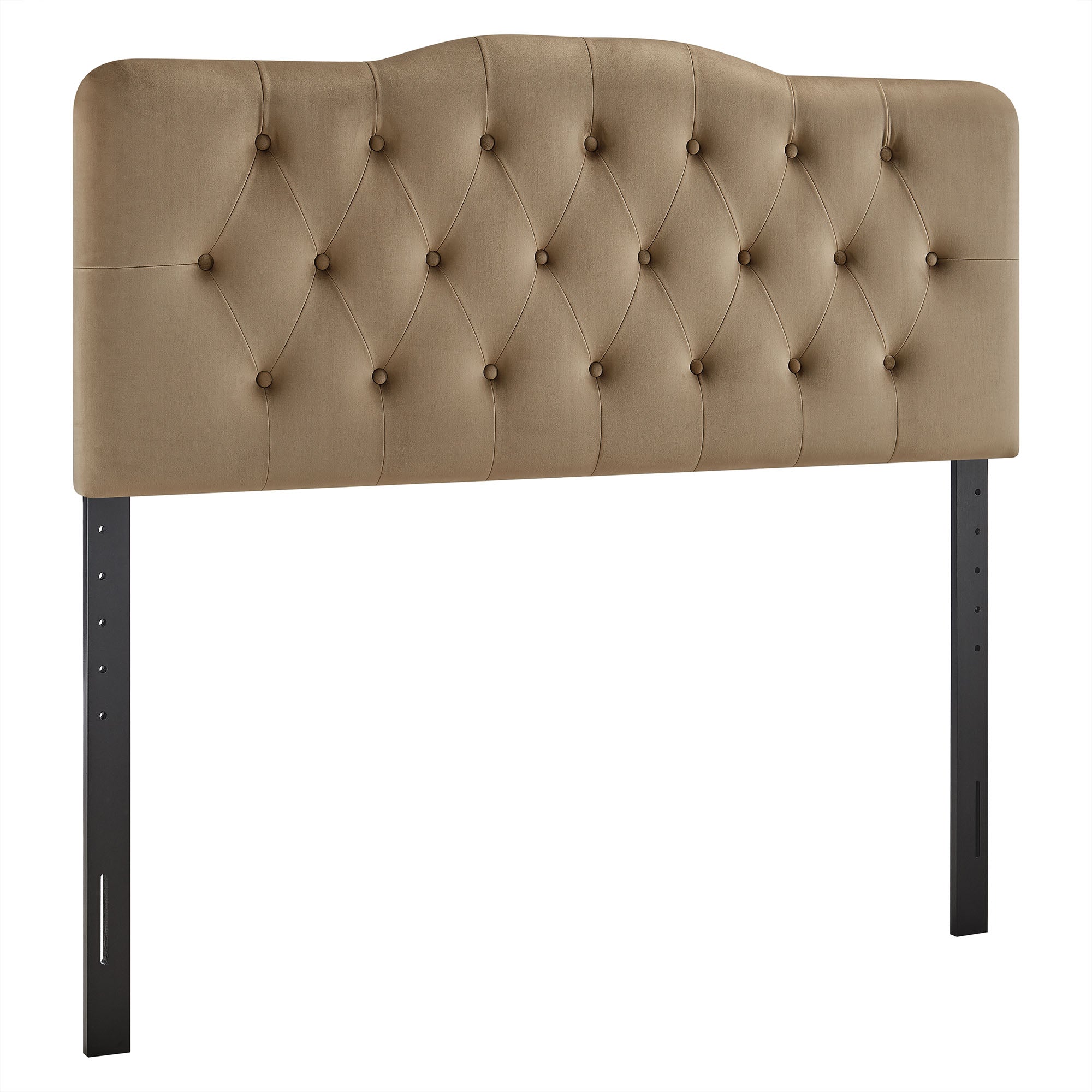 Taupe / King