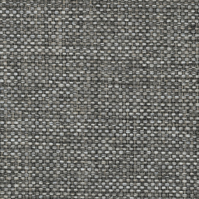 Swatch - Graphite (SW-0166)
