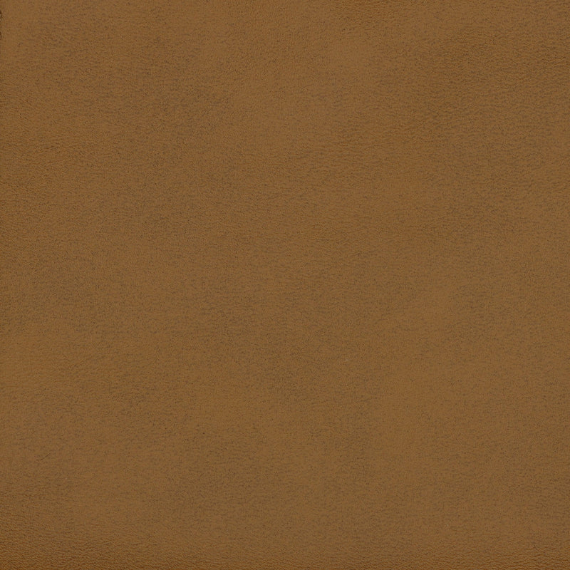 Swatch - Camel (SW-0628)