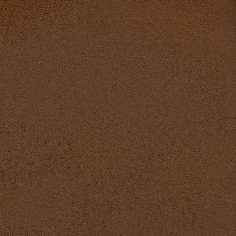 Swatch - Coffee (SW-0629)