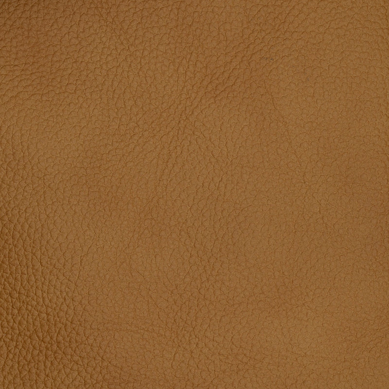 Swatch - Caramel Tan (SW-0586)