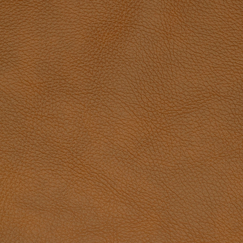 Swatch - Tan (SW-0108)